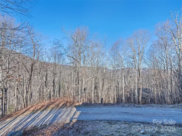 $495,000 | 171 Sharons Bluff, Franklin, NC 28734