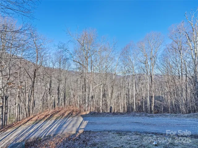 $550,000 | 171 Sharons Bluff, Franklin, NC 28734
