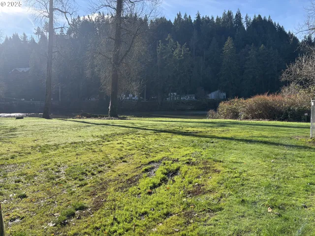 a view of a swimming pool and trees in the background