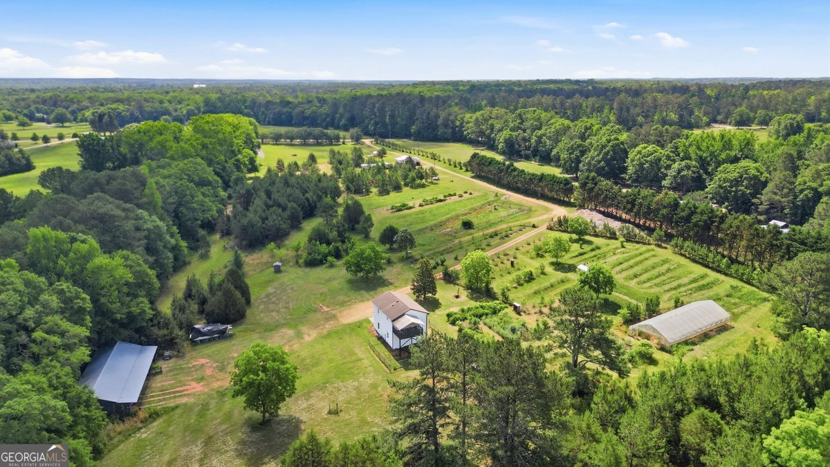 1465 Thurston Snow Road Good Hope, GA 30641 - Photo 23 of 48