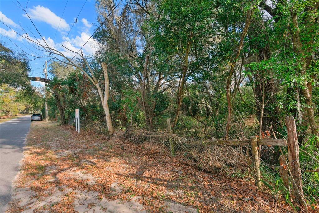 11119 Bessie Dix Road Seffner, FL 33584 - Photo 4 of 12