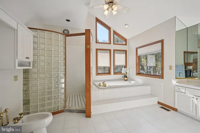 a view of a park with bench and trees