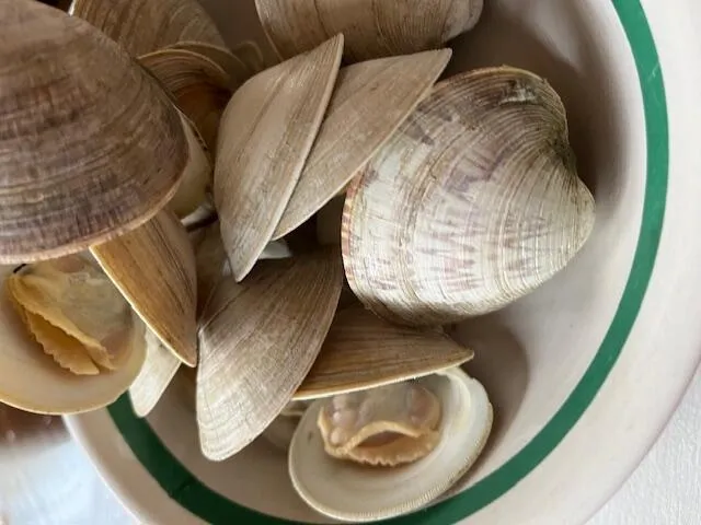 $625,000 | 57 Old Kings Highway, Truro, MA 02666