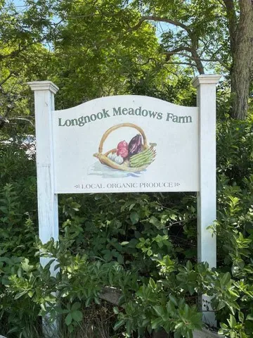 a view of a back yard