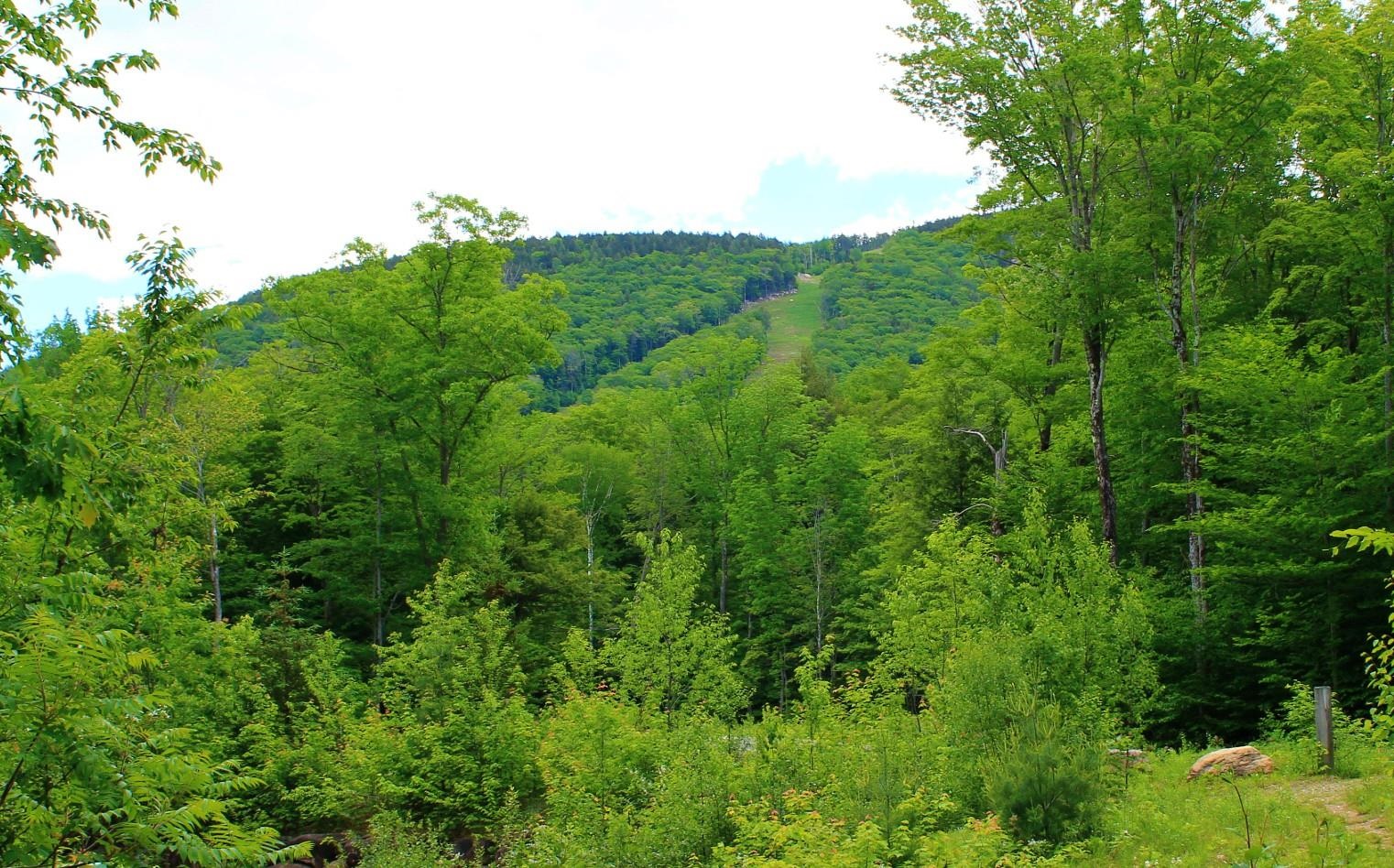 127 South Peak Road, Unit PR 07 Lincoln, NH 03251 - Photo 19 of 19 Gallery Image 19