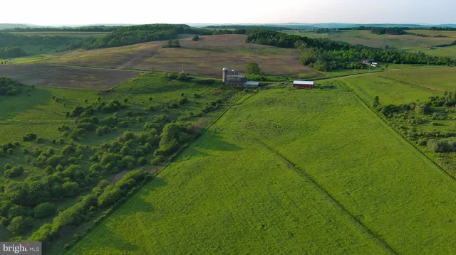 a view of a lush green outdoor space with a lake view