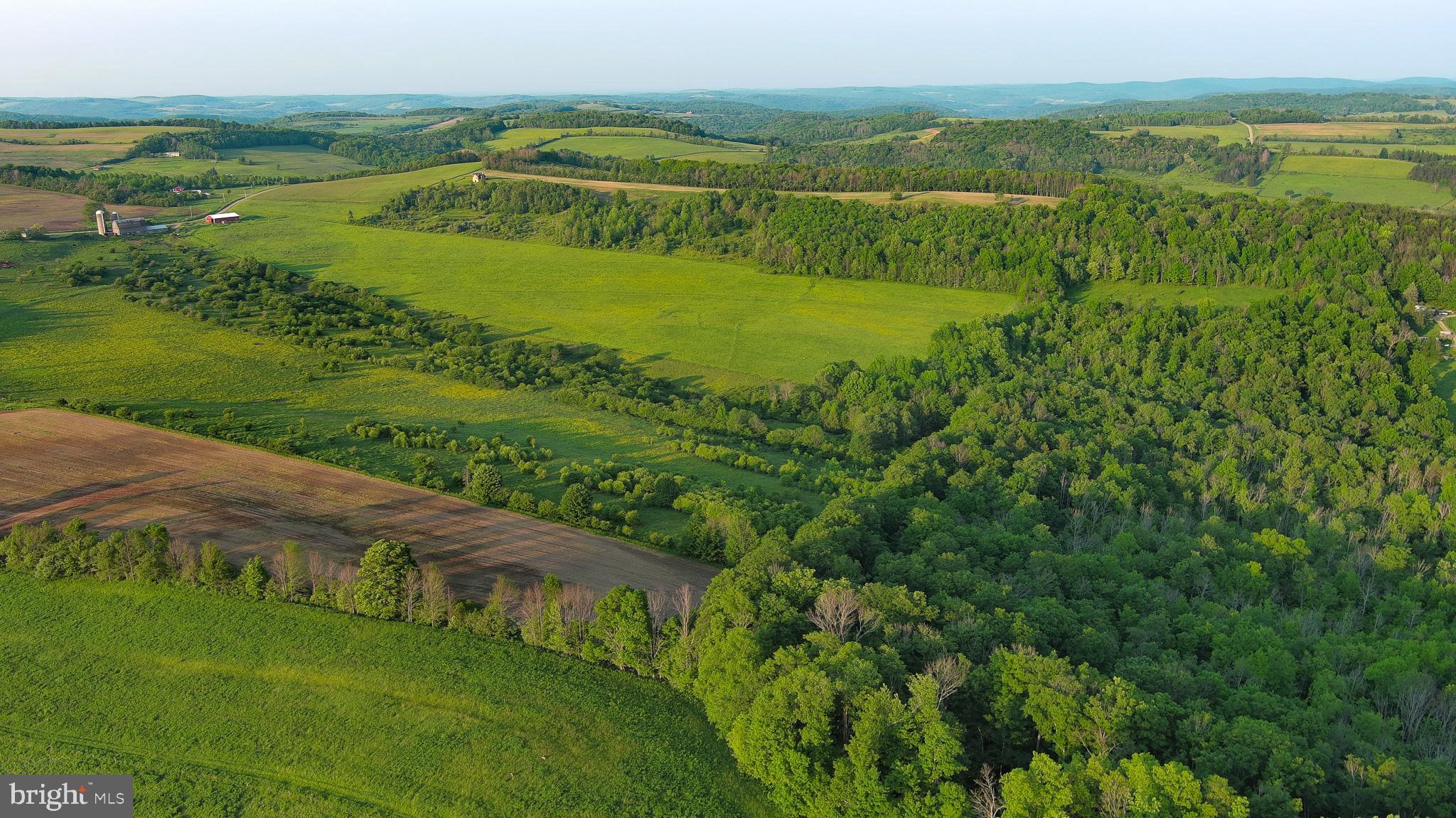 2060 Reitter Hill Road Westfield, PA 16950 - Photo 20 of 49 a view of a field with an ocean