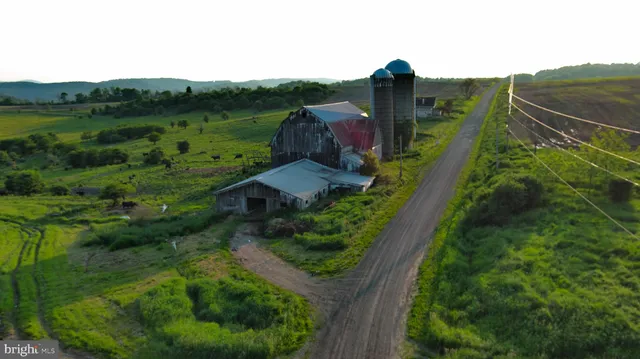 a view of a garden with a building in the background
