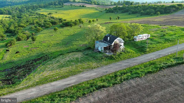 a view of a garden with an outdoor space