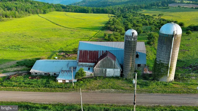 a view of a house with a yard and plants