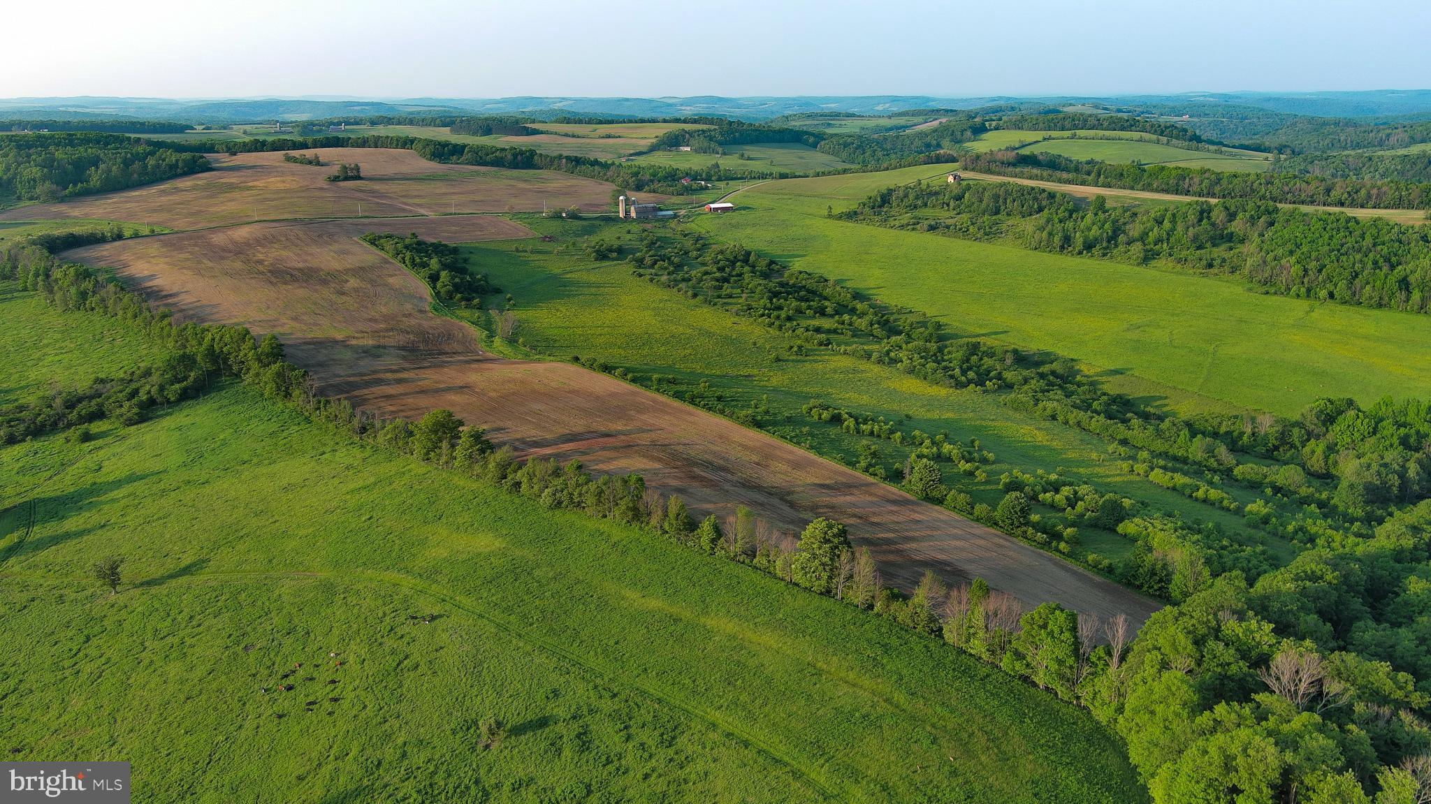 2060 Reitter Hill Road Westfield, PA 16950 - Photo 30 of 49 a view of a lush green field