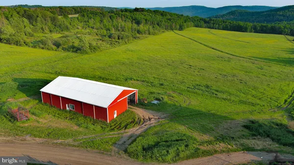 a view of a big yard with plants and large trees