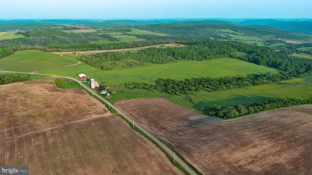 a view of a field with a field