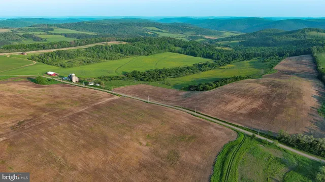 a view of a garden with a building