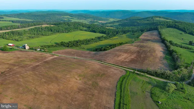 a view of a street with a yard and a large parking space