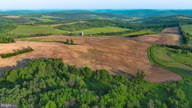 an outdoor view with garden and trees