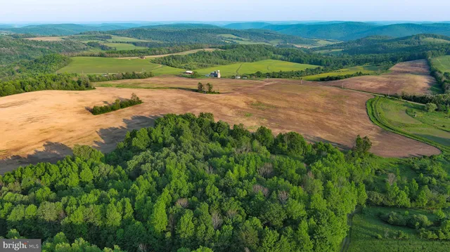 a view of an outdoor space and a yard