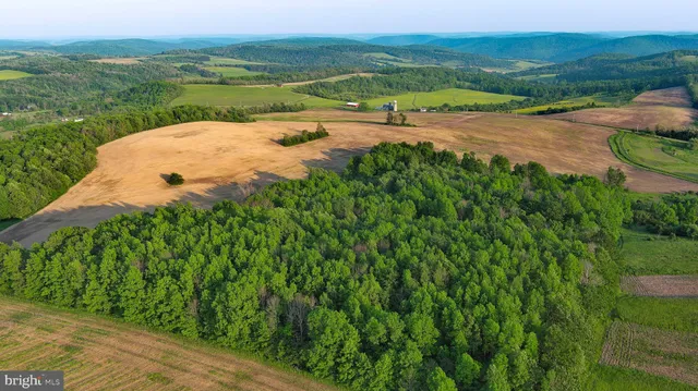 a view of a lake with a yard