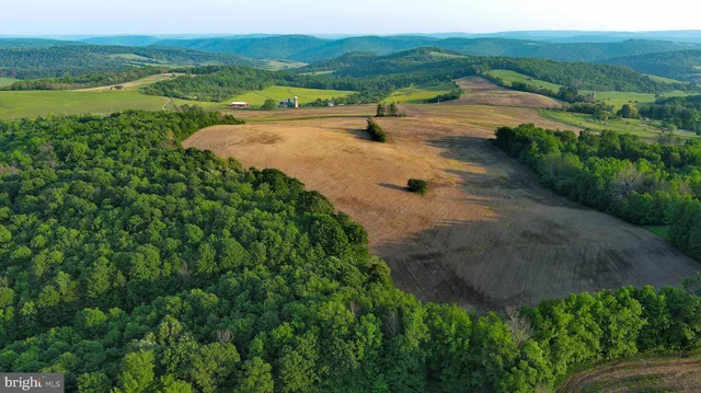 a view of outdoor space and city view
