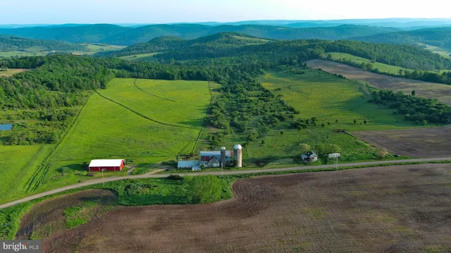 a view of a field with a tree