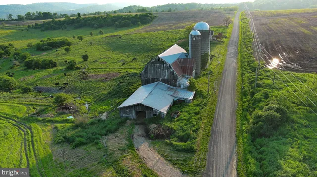 a view of a garden with mountains in the background