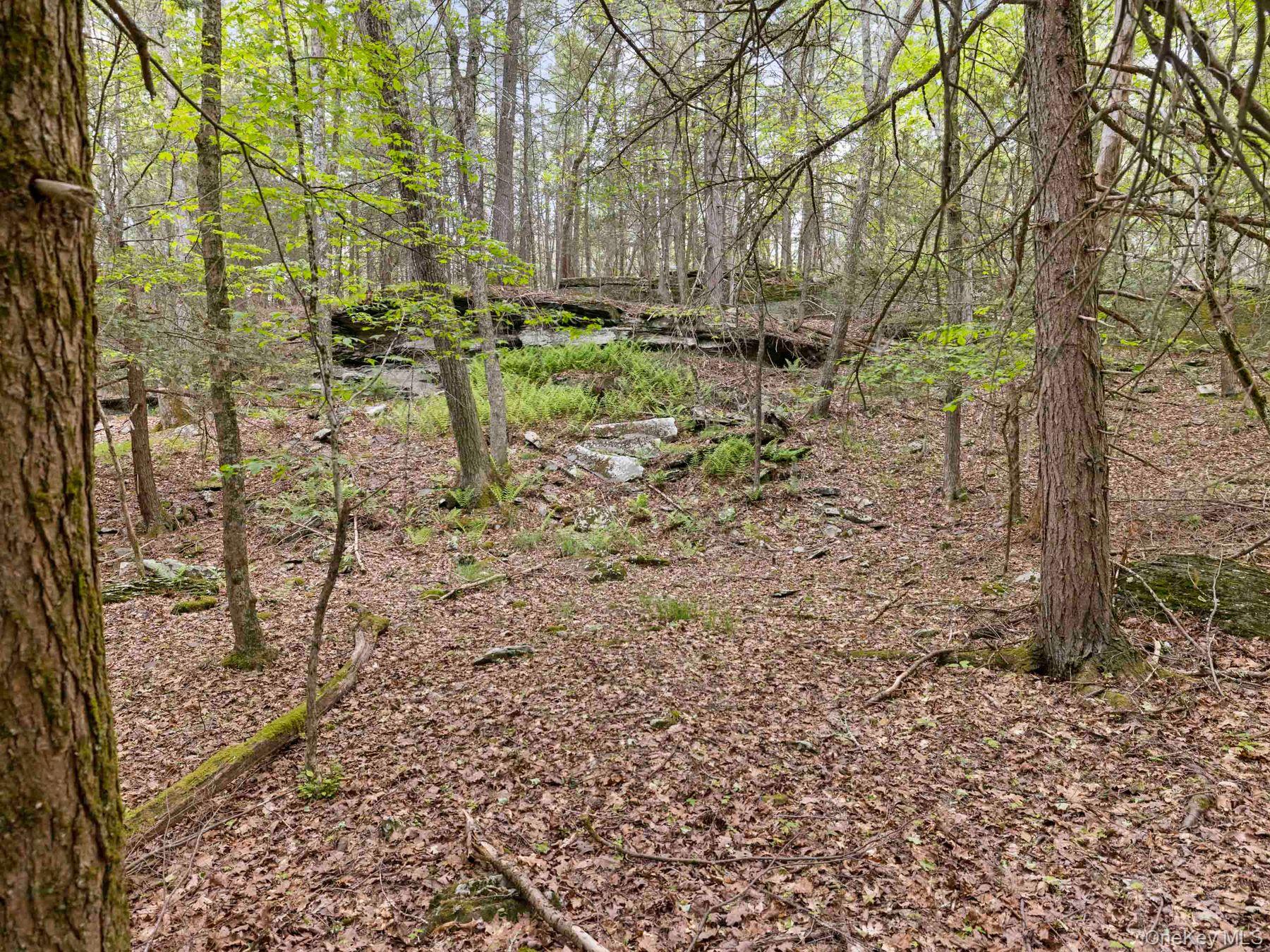40 Mamoud Hills Road Kingston, NY 12401 - Photo 32 of 42 a view of a yard with large trees