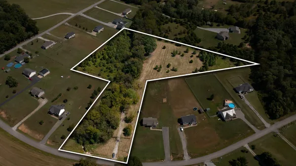 a view of a yard with trees