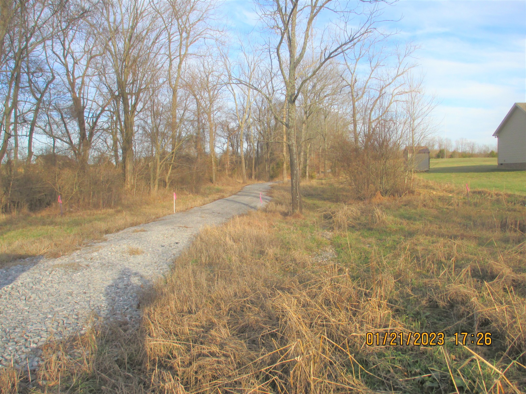 536 Martin Chapel Road Portland, TN 37148 - Photo 15 of 17 a view of yard with trees