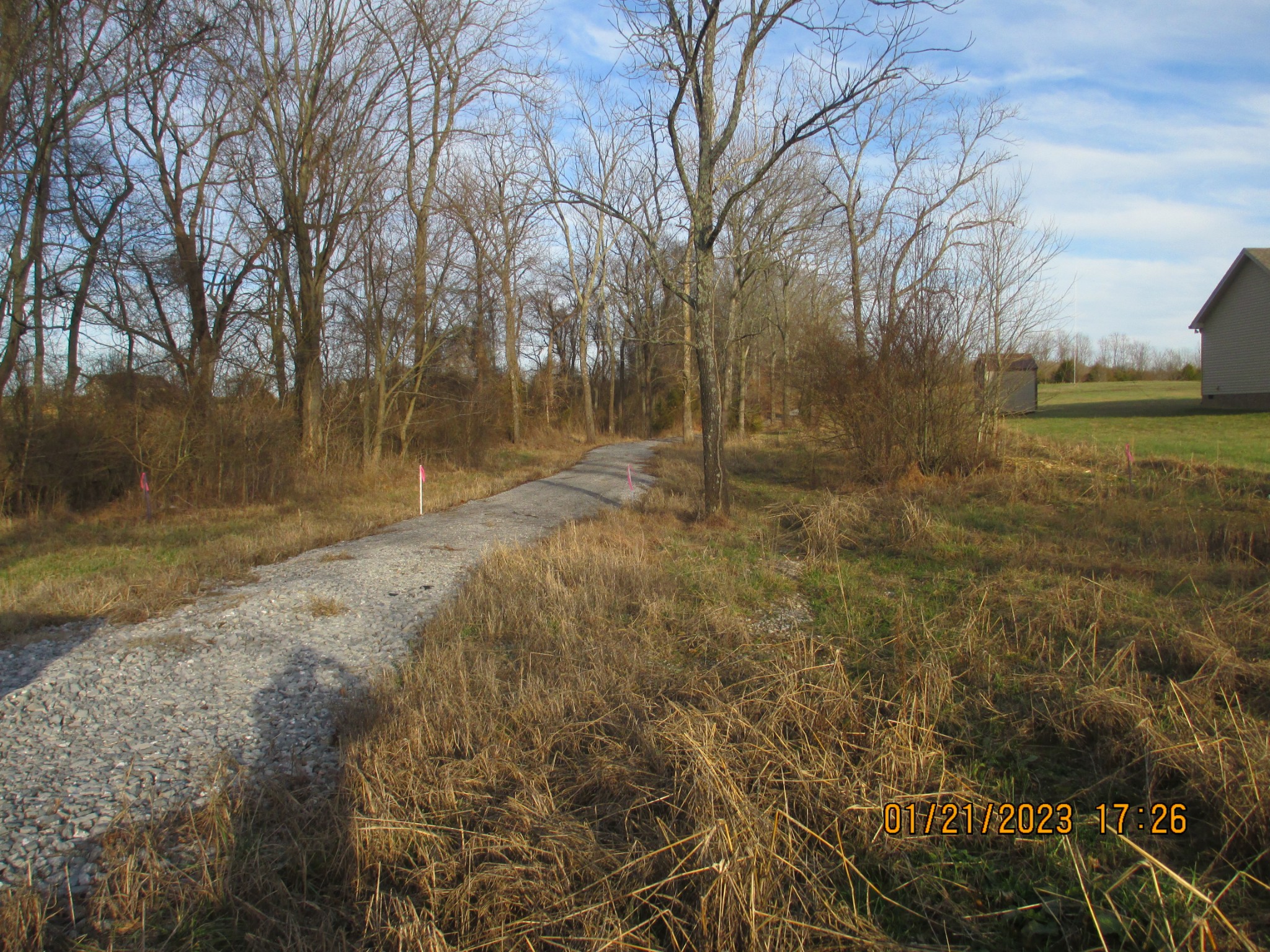 536 Martin Chapel Road Portland, TN 37148 - Photo 16 of 17 a view of a yard with trees