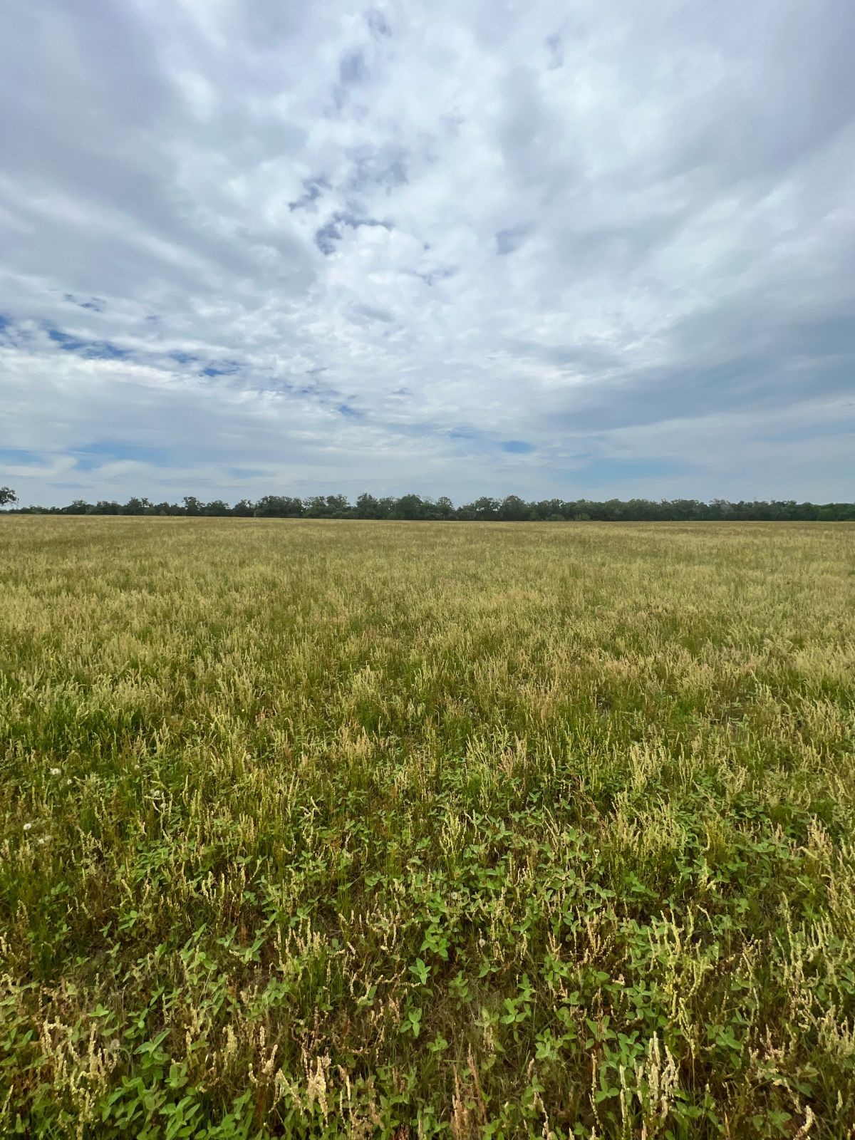 Tbd2 Tbd2 Davis Road La Grange, TX 78945 - Photo 6 of 8 View of landscape featuring a rural view