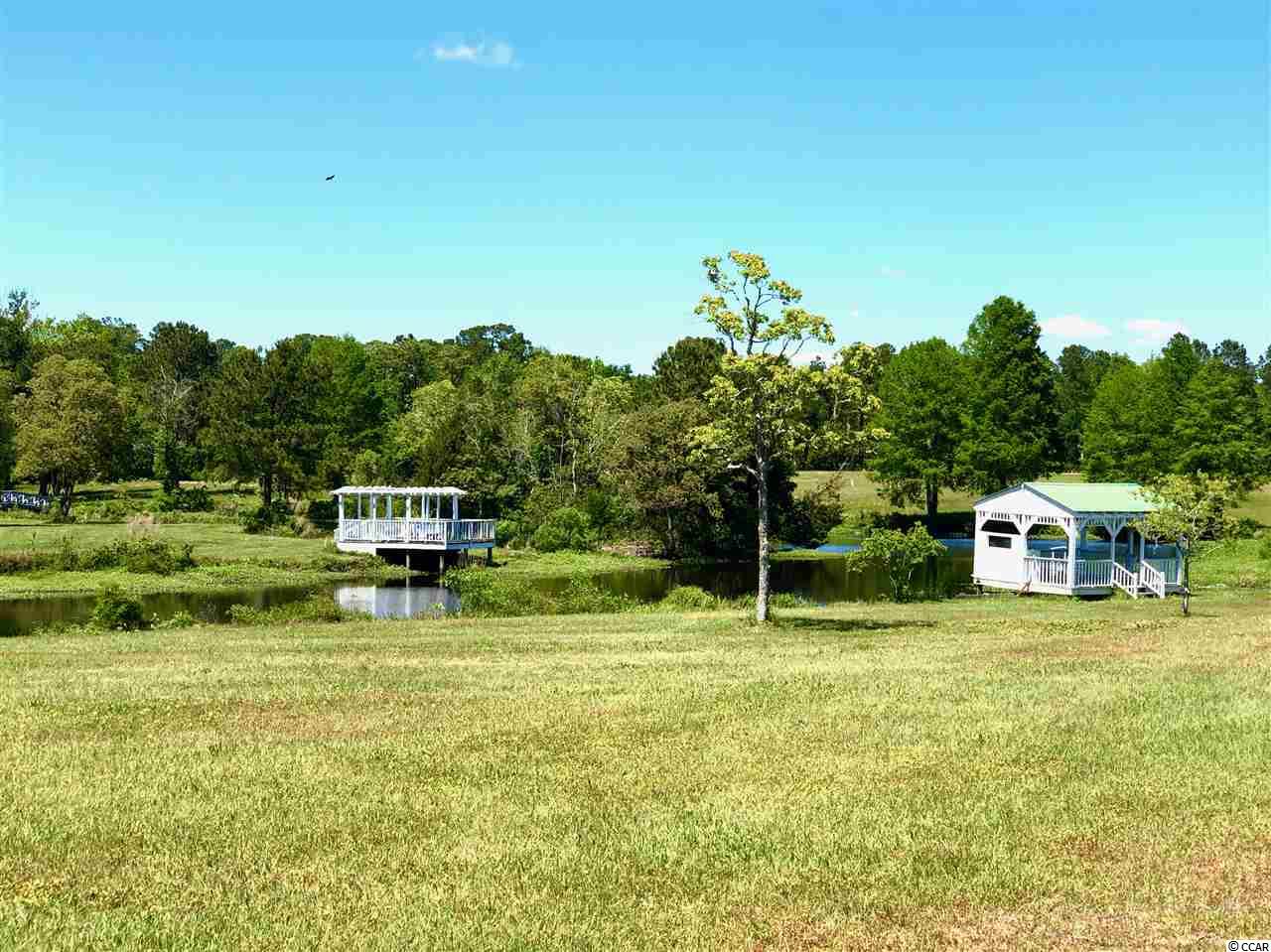 Lot # South Bay Street Georgetown, SC 29440 - Photo 8 of 18