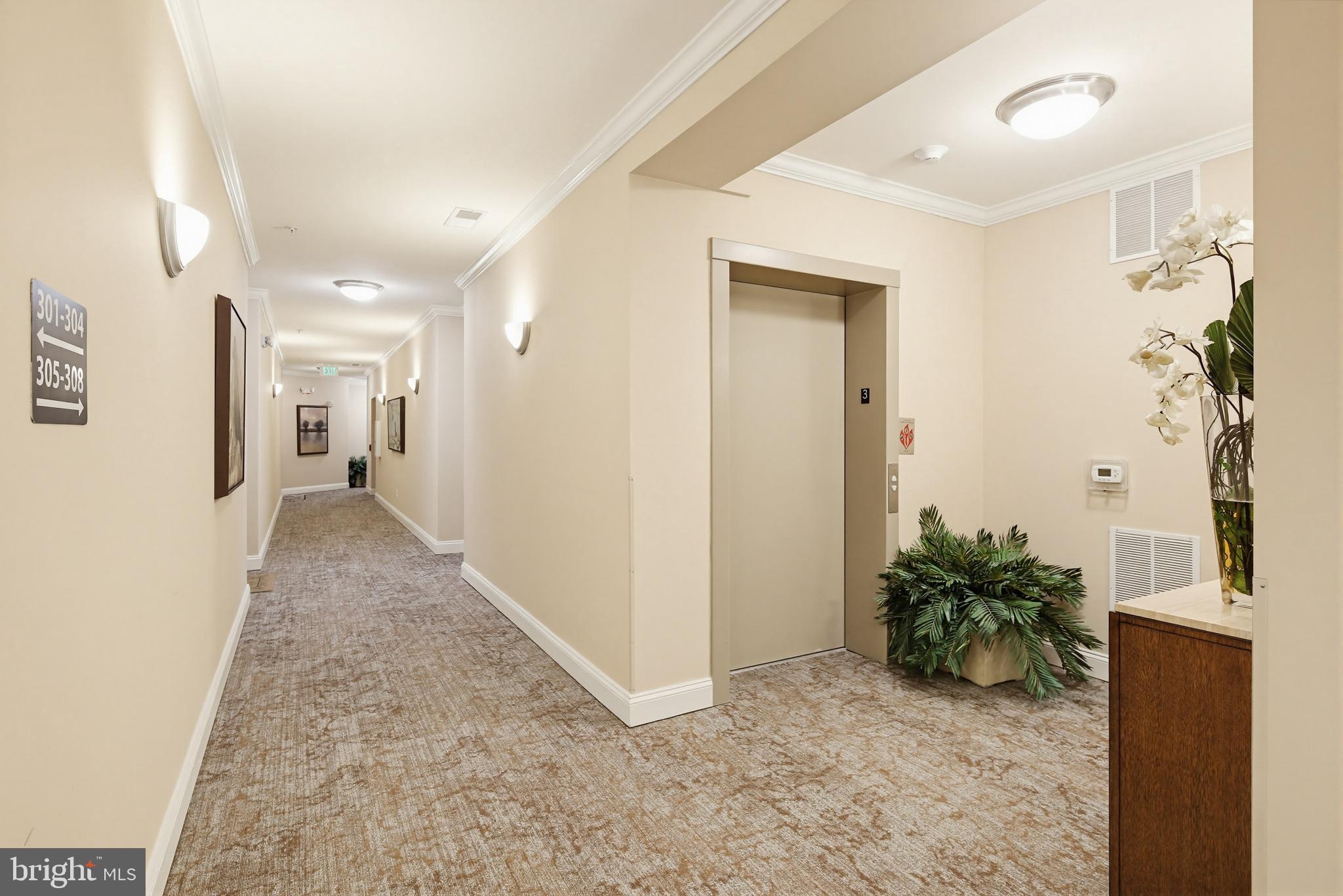 8901 Brauerton Road, Unit 301 Ellicott City, MD 21043 - Photo 4 of 49 Hall