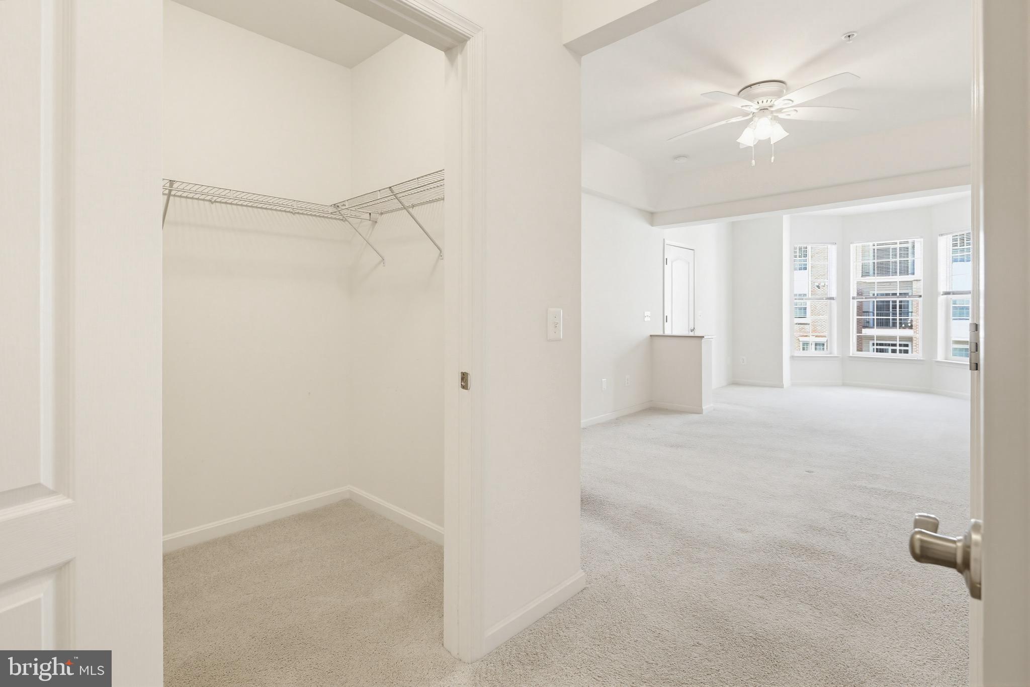 8901 Brauerton Road, Unit 301 Ellicott City, MD 21043 - Photo 38 of 49 Primary Bedroom