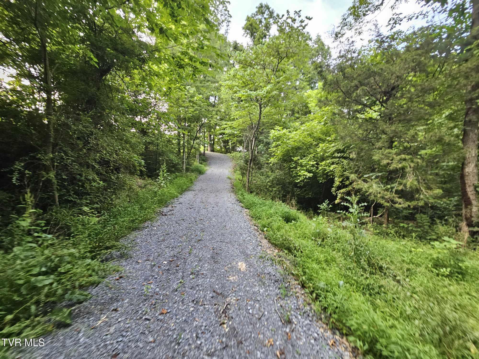 2264 Devault Bridge Road Piney Flats, TN 37686 - Photo 15 of 29 48620870-12d6-4ddf-824e-e8b7fc76a452