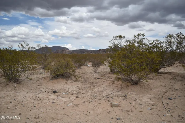 a view of a dry yard with mountains in the background