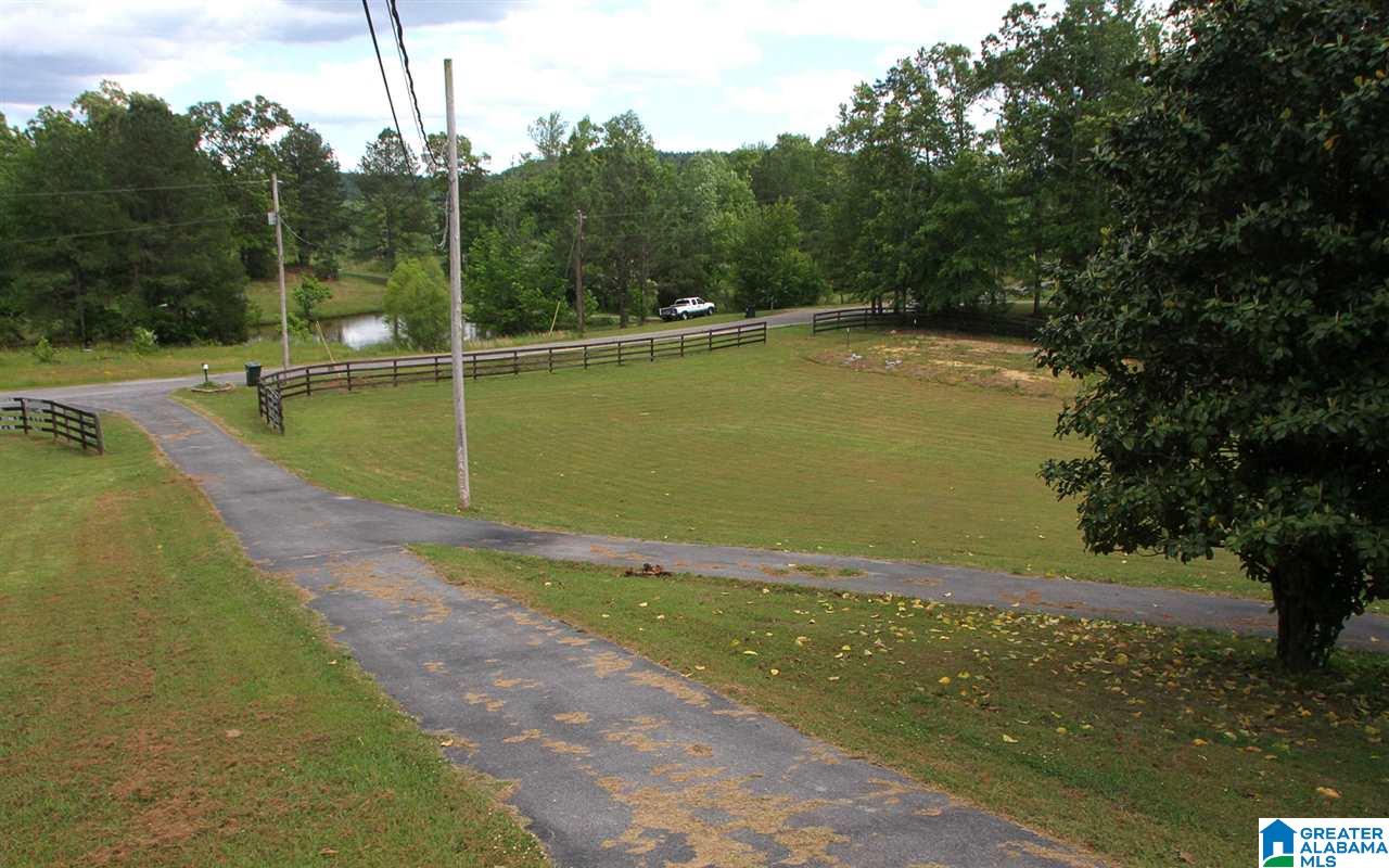 400 Buck Drive Ohatchee, AL 36271 - Photo 4 of 29