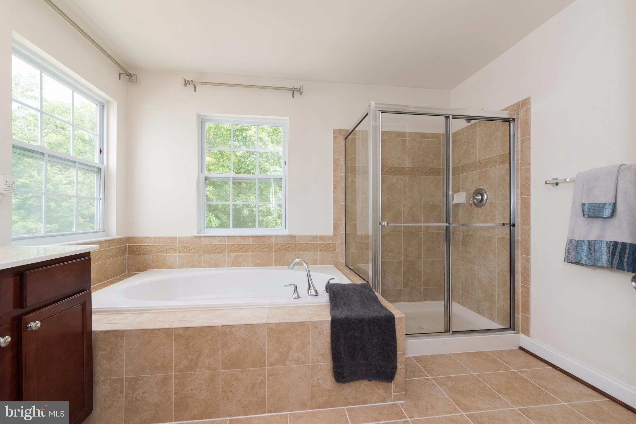 6317 Seton Ridge Drive Baltimore, MD 21207 - Photo 15 of 30 Master Bath