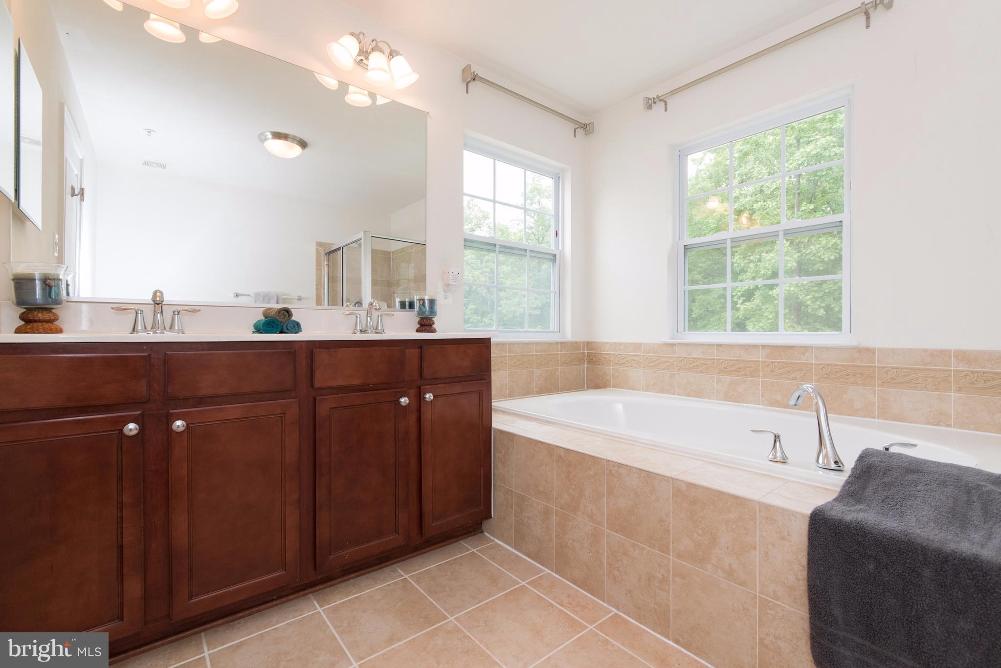 6317 Seton Ridge Drive Baltimore, MD 21207 - Photo 16 of 30 Master Bath
