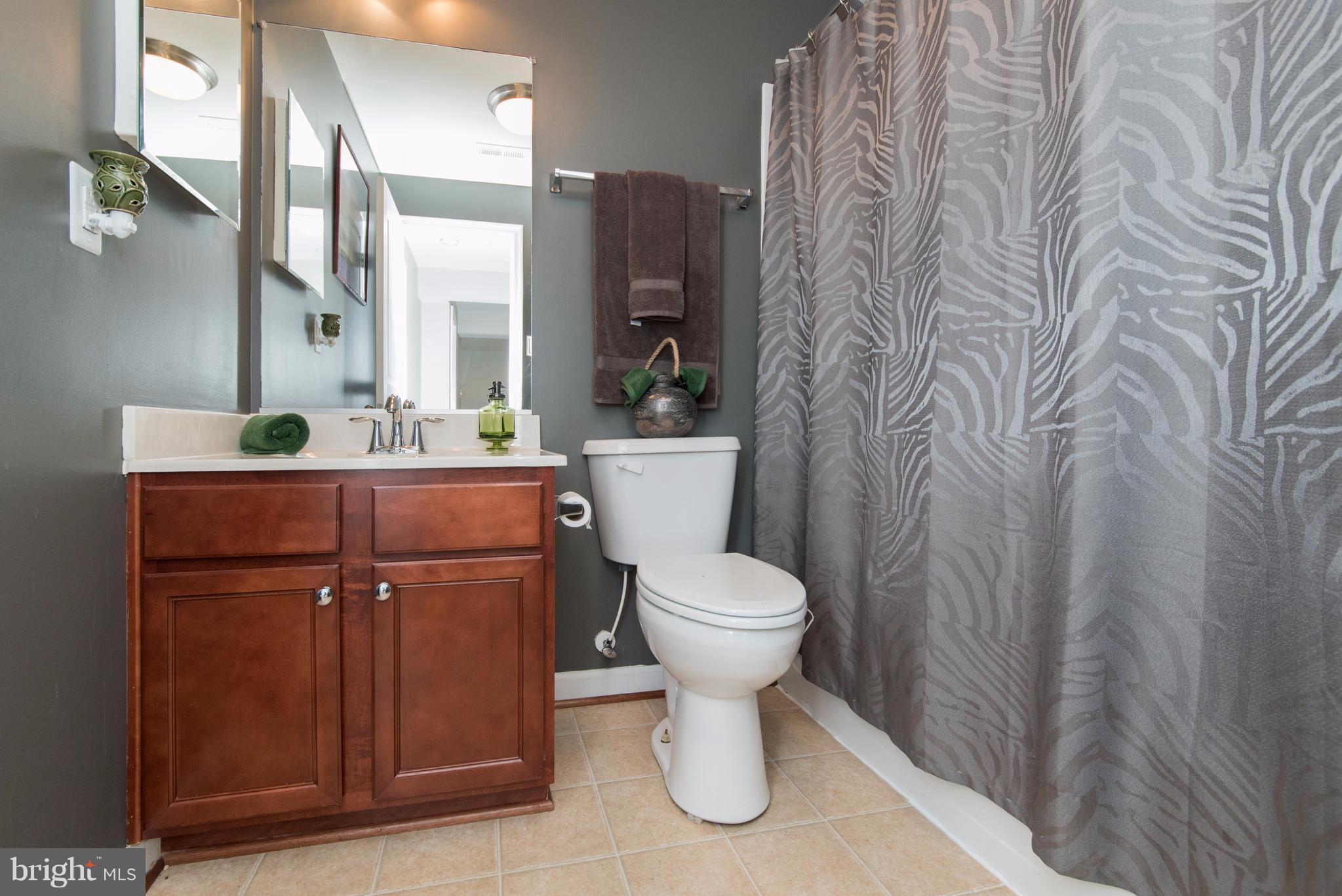 6317 Seton Ridge Drive Baltimore, MD 21207 - Photo 26 of 30 Lower Level Full Bath