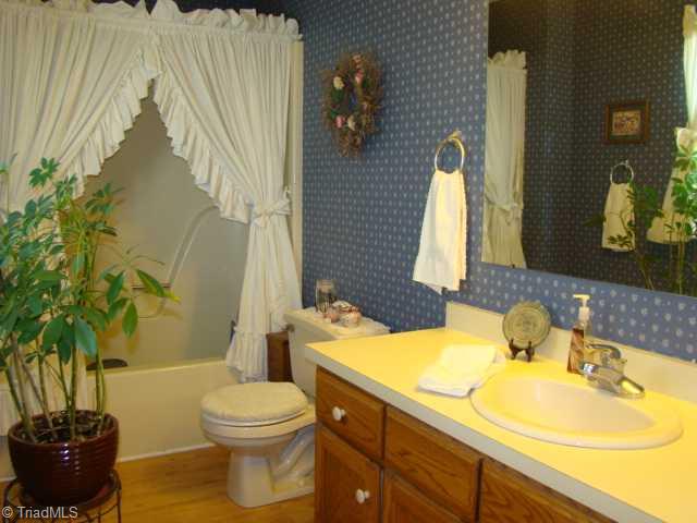 3322 Gallimore Dairy Road Denton, NC 27239 - Photo 10 of 16 Master Bath/Spa. Tub & Shower
