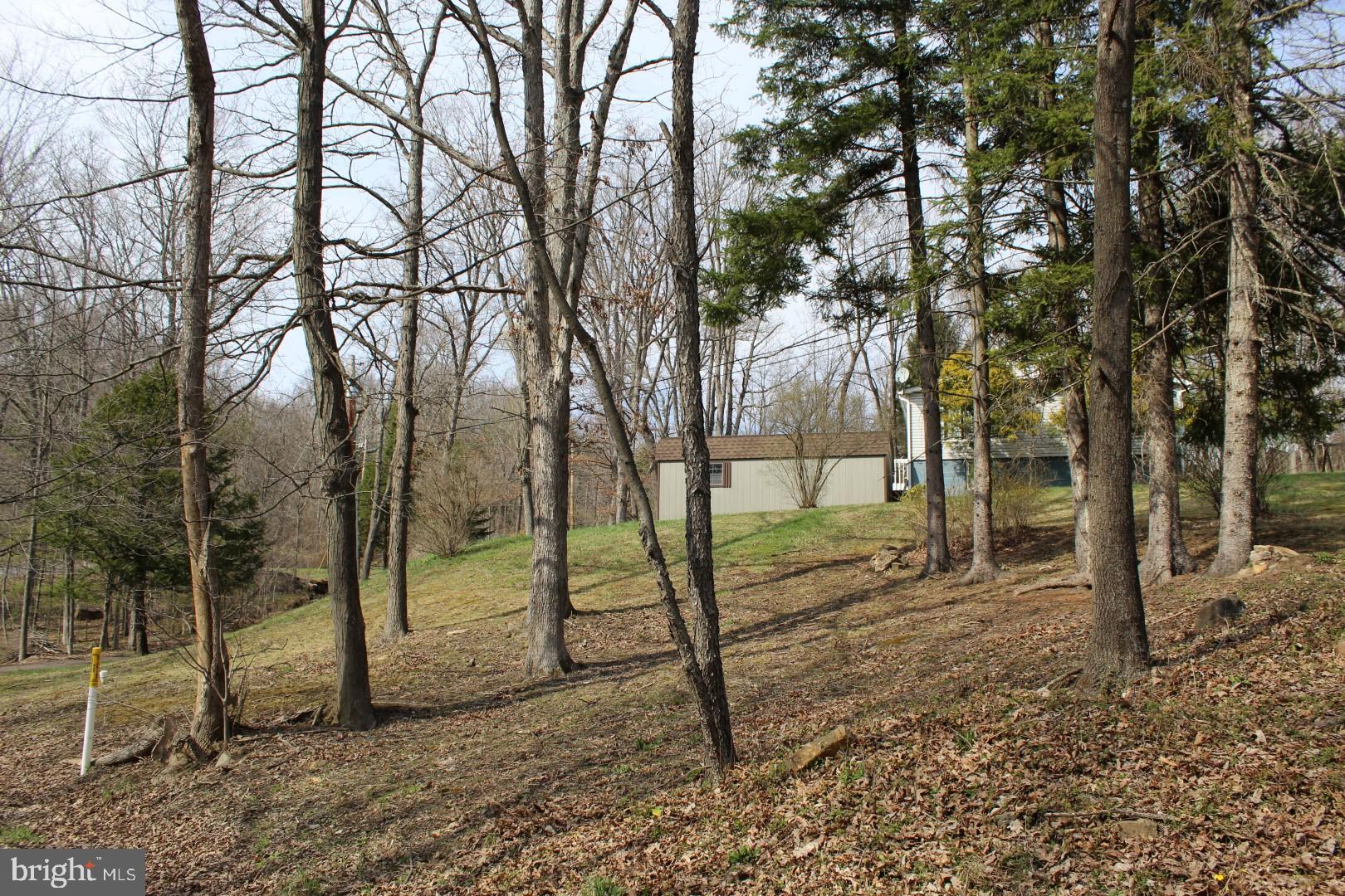 15510 Old Coney Cemetery Road Southwest Lonaconing, MD 21539 - Photo 14 of 24 Gallery Image 14