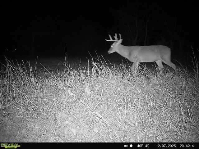 1121 County Road 4522 Decatur, TX 76234 - Photo 11 of 14 a black and white photo of a room