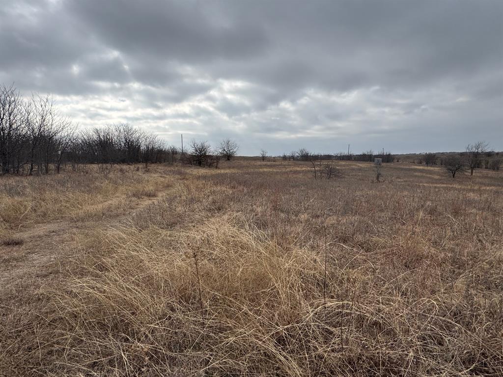 1121 County Road 4522 Decatur, TX 76234 - Photo 3 of 14