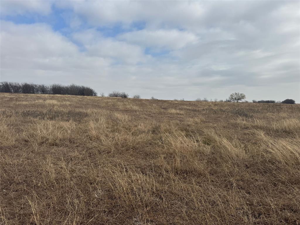 1121 County Road 4522 Decatur, TX 76234 - Photo 6 of 14 a view of a big yard with mountains in the background