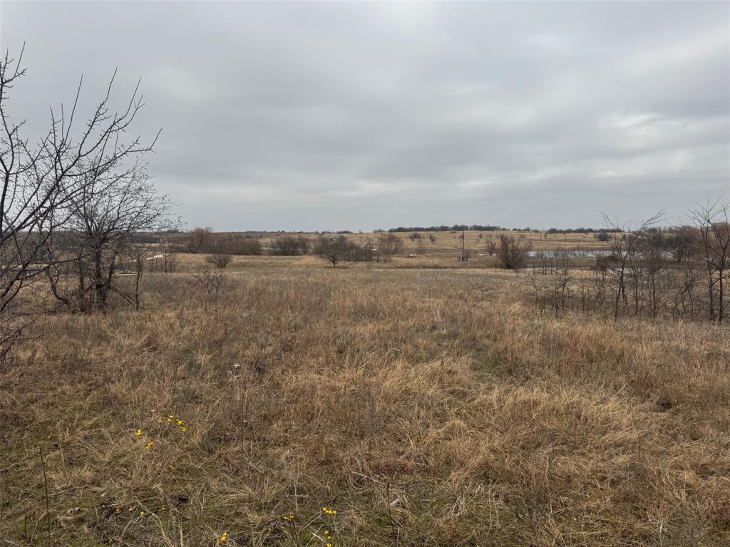 1121 County Road 4522 Decatur, TX 76234 - Photo 8 of 14 a view of a field with trees in background