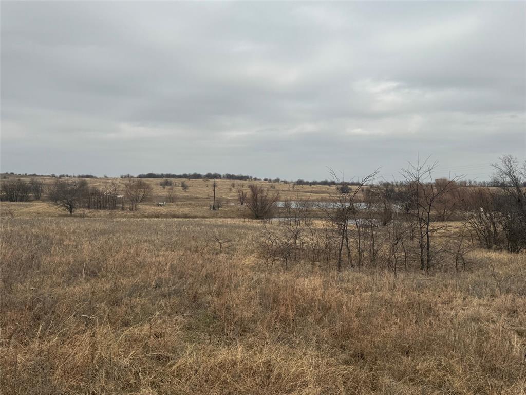 1121 County Road 4522 Decatur, TX 76234 - Photo 9 of 14 a view of a field with trees in background