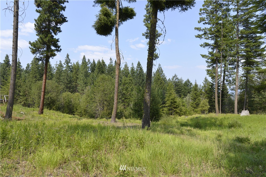 8 Eklund Road Winthrop, WA 98862 - Photo 17 of 21 Gallery Image 17