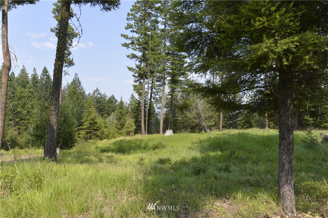 8 Eklund Road Winthrop, WA 98862 - Photo 18 of 21 Gallery Image 18
