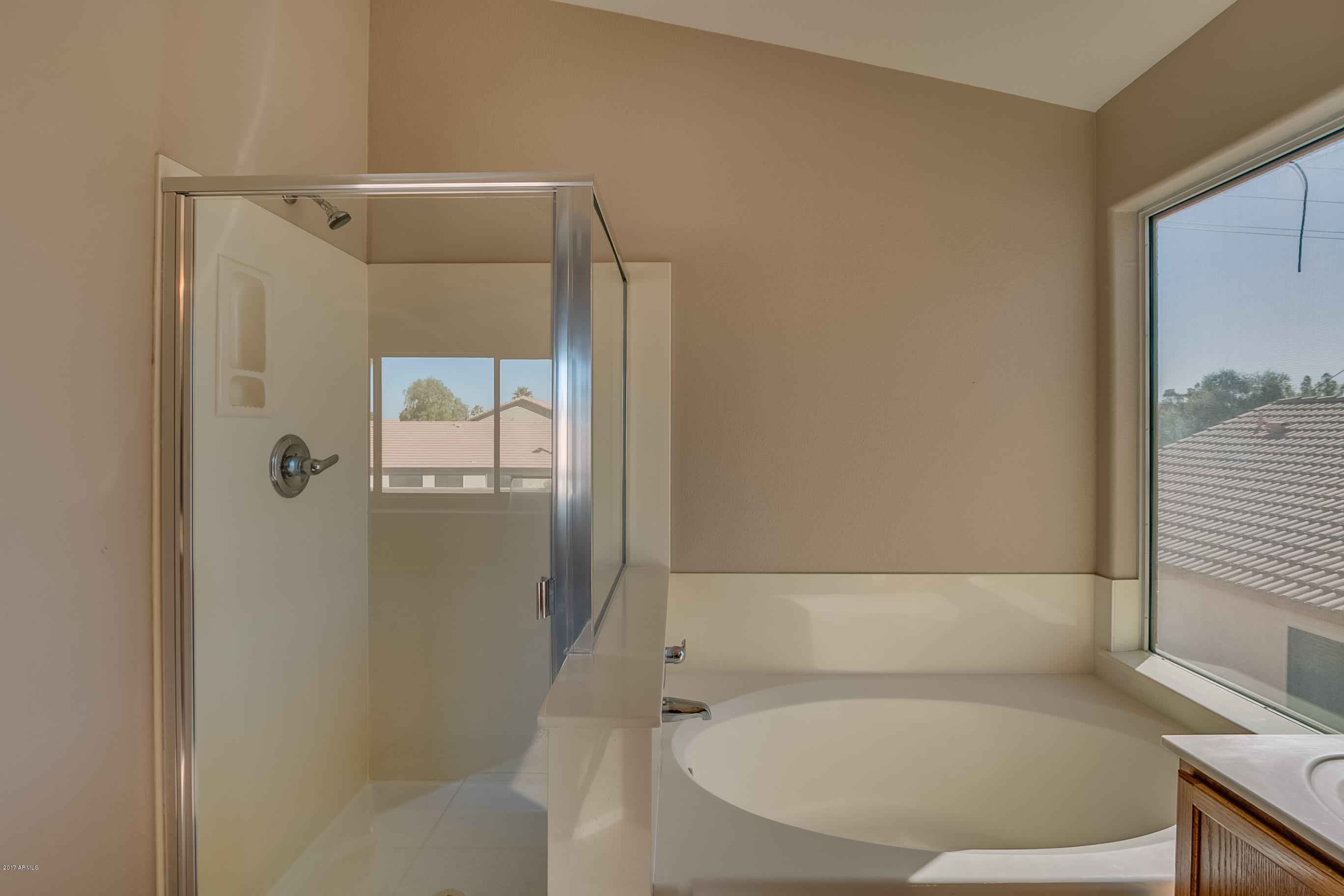 685 North Joshua Tree Lane Gilbert, AZ 85234 - Photo 21 of 23 Joshua-39