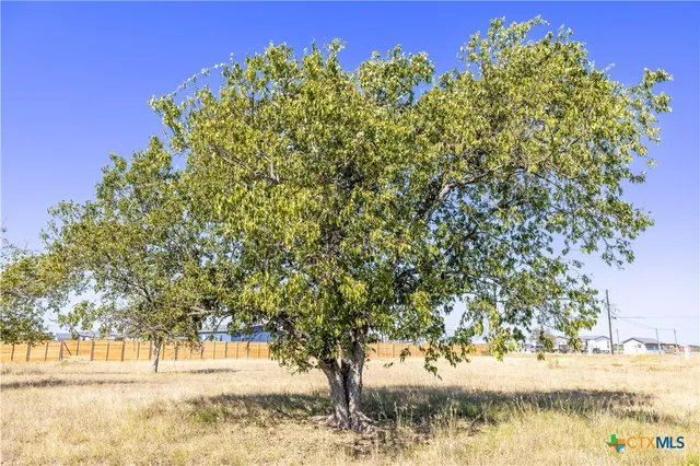 $169,000 | 149 Caliza Dr., Bertram, TX 78605